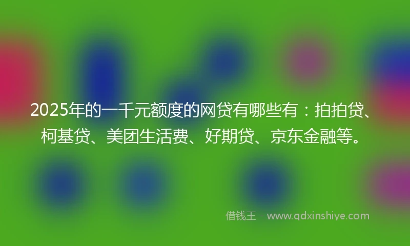 2025年的一千元额度的网贷有哪些有：拍拍贷、柯基贷、美团生活费、好期贷、京东金融等。
