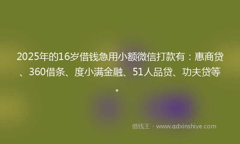 2025年的16岁借钱急用小额微信打款有：惠商贷、360借条、度小满金融、51人品贷、功夫贷等。