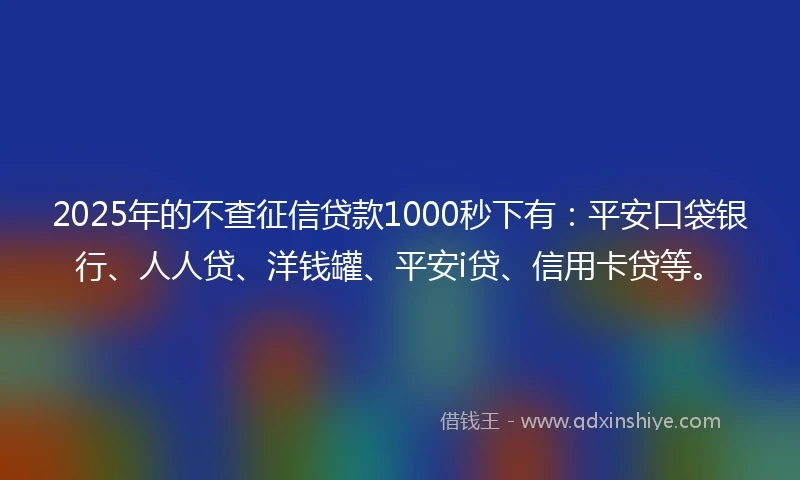 2025年的不查征信贷款1000秒下有：平安口袋银行、人人贷、洋钱罐、平安i贷、信用卡贷等。