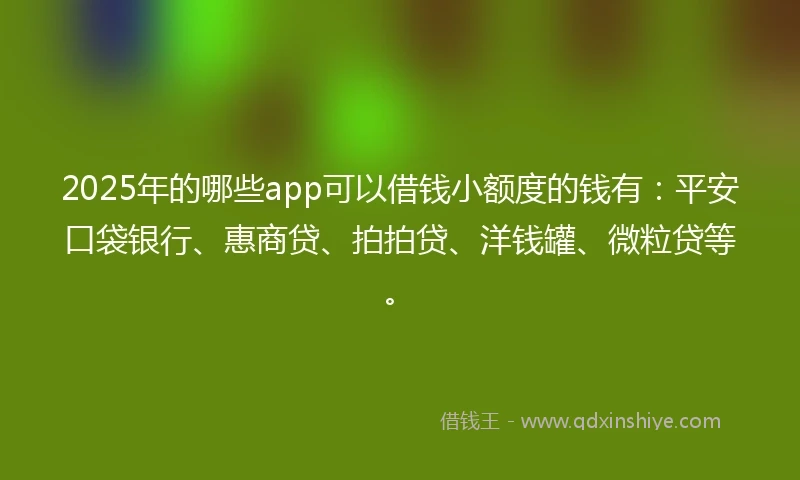 2025年的哪些app可以借钱小额度的钱有：平安口袋银行、惠商贷、拍拍贷、洋钱罐、微粒贷等。