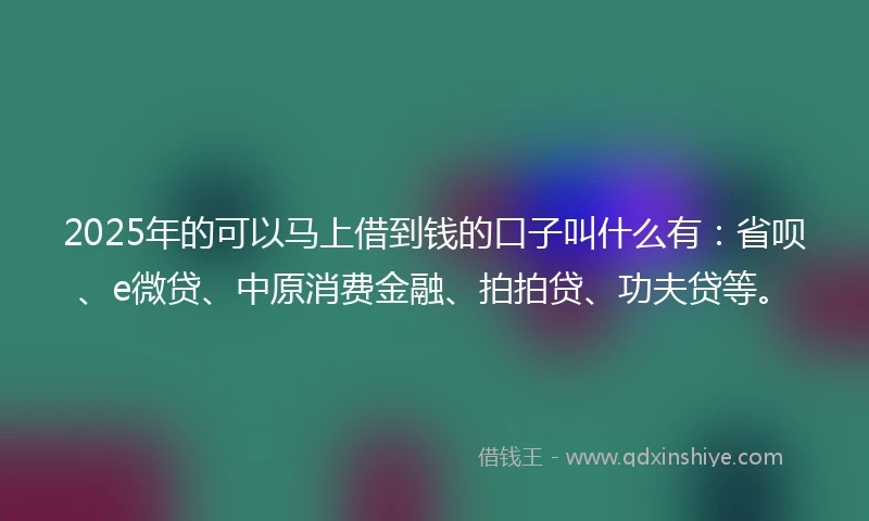 2025年的可以马上借到钱的口子叫什么有：省呗、e微贷、中原消费金融、拍拍贷、功夫贷等。