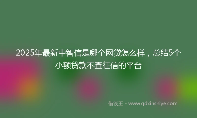 2025年最新中智信是哪个网贷怎么样，总结5个小额贷款不查征信的平台