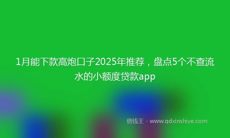 1月能下款高炮口子2025年推荐，盘点5个不查流水的小额度贷款app
