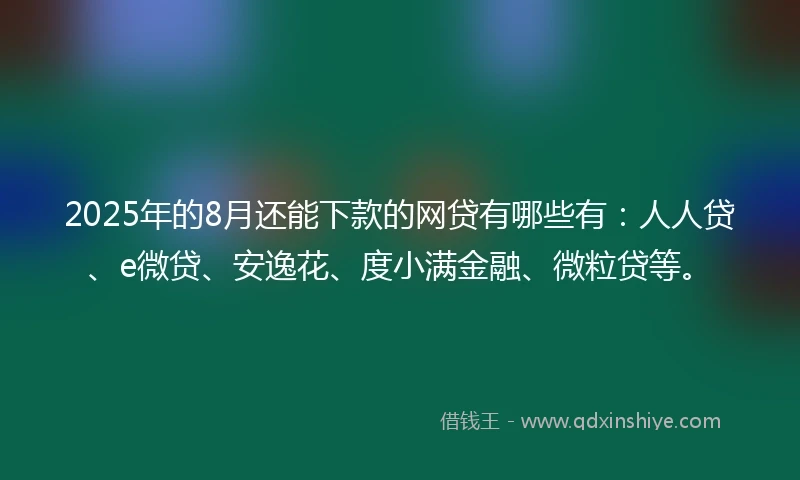 2025年的8月还能下款的网贷有哪些有：人人贷、e微贷、安逸花、度小满金融、微粒贷等。
