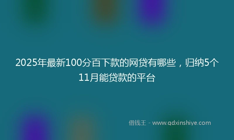2025年最新100分百下款的网贷有哪些，归纳5个11月能贷款的平台
