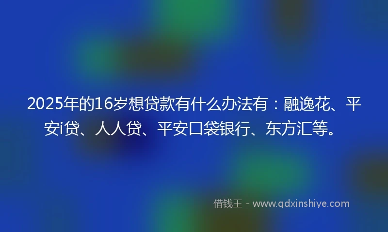 2025年的16岁想贷款有什么办法有：融逸花、平安i贷、人人贷、平安口袋银行、东方汇等。