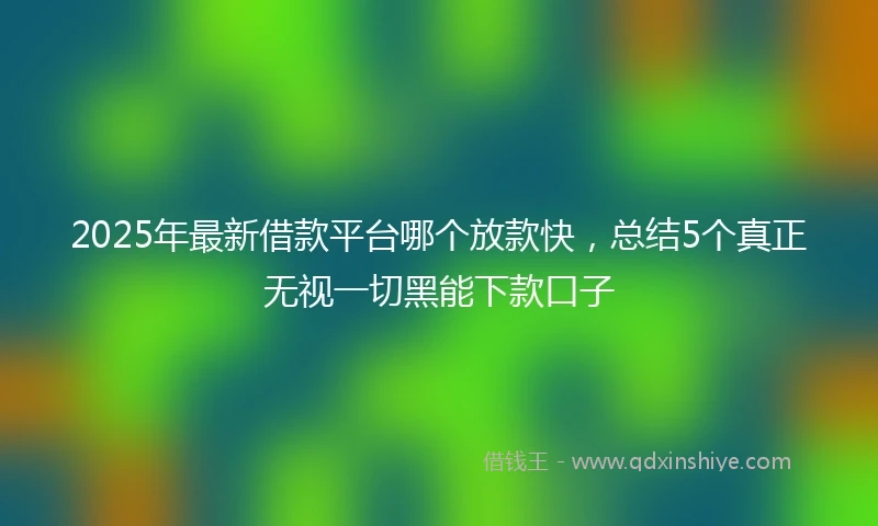 2025年最新借款平台哪个放款快，总结5个真正无视一切黑能下款口子