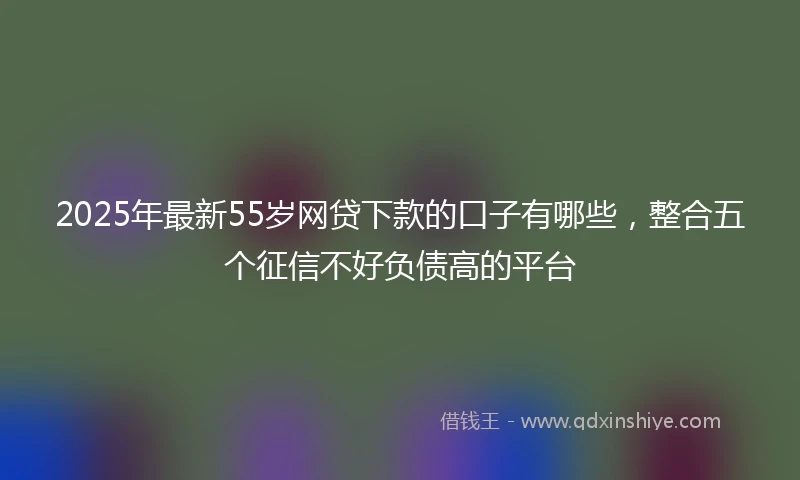 2025年最新55岁网贷下款的口子有哪些，整合五个征信不好负债高的平台