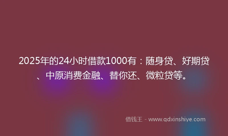 2025年的24小时借款1000有：随身贷、好期贷、中原消费金融、替你还、微粒贷等。