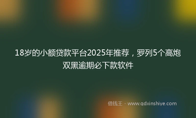 18岁的小额贷款平台2025年推荐，罗列5个高炮双黑逾期必下款软件
