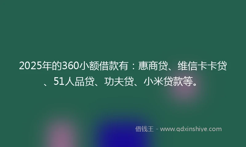 2025年的360小额借款有：惠商贷、维信卡卡贷、51人品贷、功夫贷、小米贷款等。
