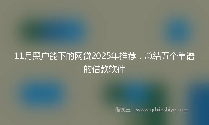 11月黑户能下的网贷2025年推荐，总结五个靠谱的借款软件