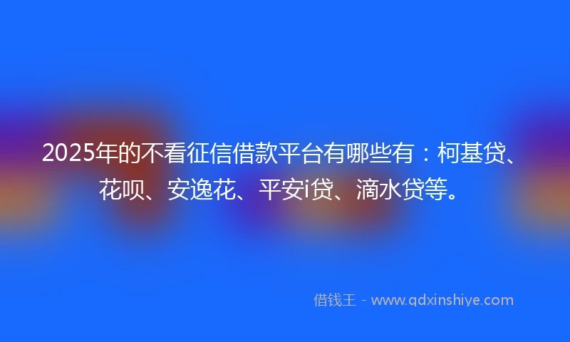 2025年的不看征信借款平台有哪些有：柯基贷、花呗、安逸花、平安i贷、滴水贷等。