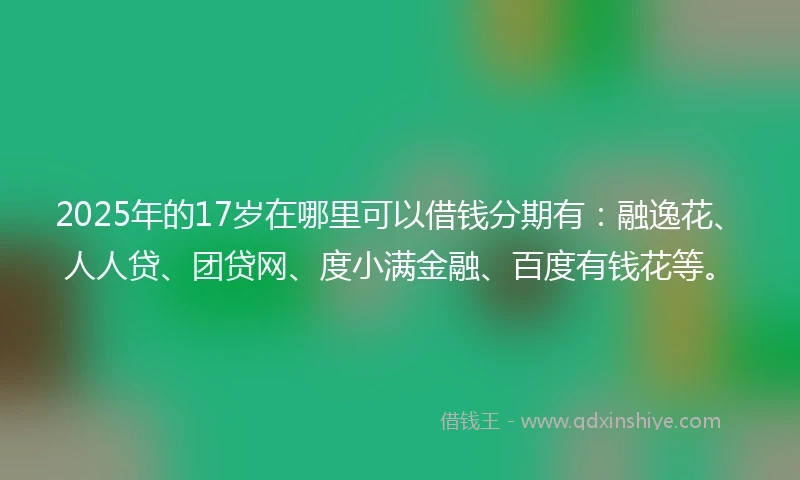 2025年的17岁在哪里可以借钱分期有：融逸花、人人贷、团贷网、度小满金融、百度有钱花等。