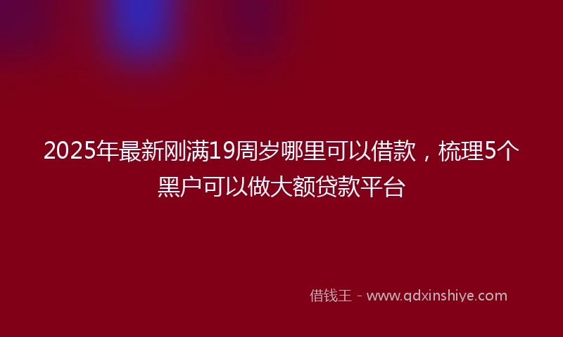 2025年最新刚满19周岁哪里可以借款，梳理5个黑户可以做大额贷款平台