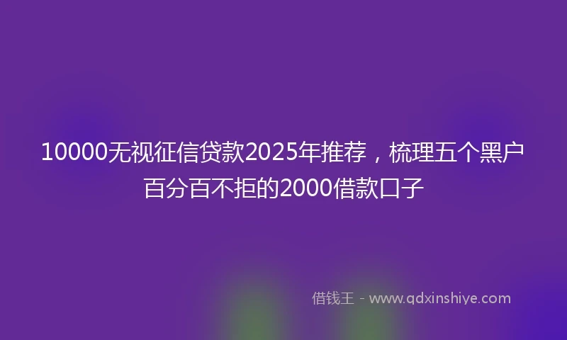 10000无视征信贷款2025年推荐，梳理五个黑户百分百不拒的2000借款口子