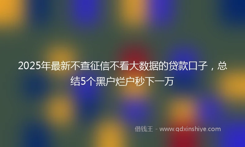 2025年最新不查征信不看大数据的贷款口子，总结5个黑户烂户秒下一万
