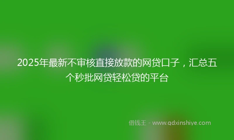2025年最新不审核直接放款的网贷口子，汇总五个秒批网贷轻松贷的平台