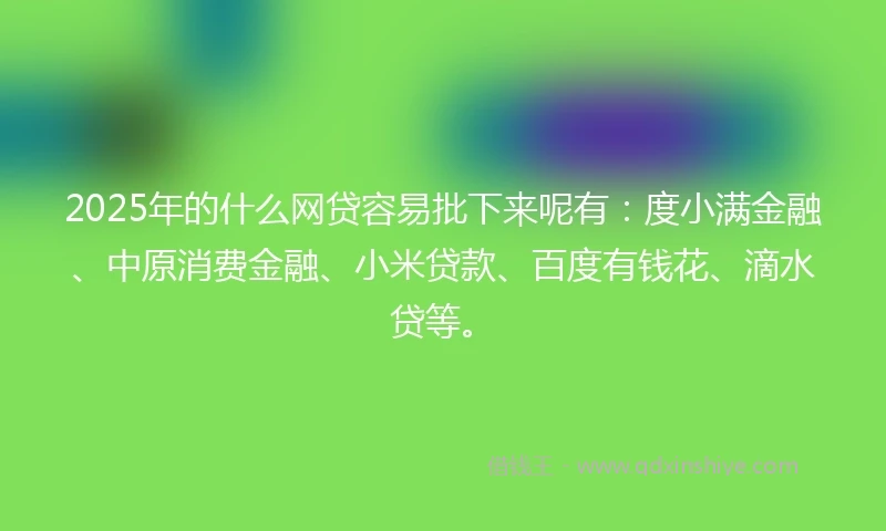 2025年的什么网贷容易批下来呢有：度小满金融、中原消费金融、小米贷款、百度有钱花、滴水贷等。