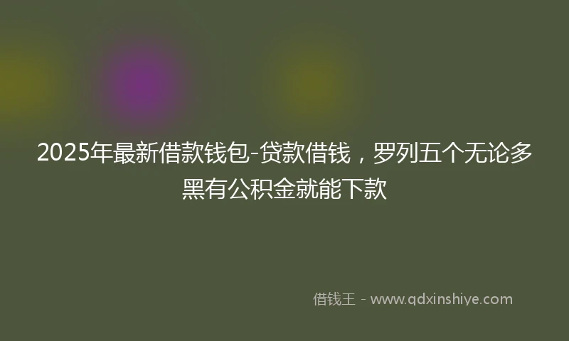 2025年最新借款钱包-贷款借钱，罗列五个无论多黑有公积金就能下款