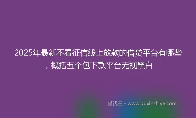 2025年最新不看征信线上放款的借贷平台有哪些，概括五个包下款平台无视黑白