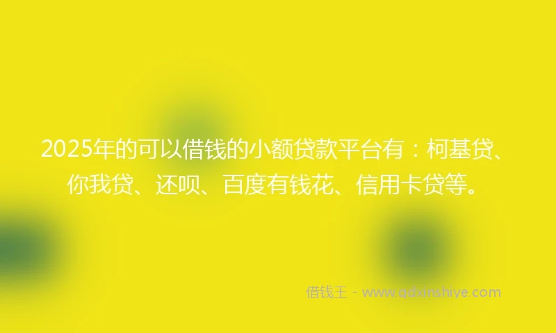 2025年的可以借钱的小额贷款平台有：柯基贷、你我贷、还呗、百度有钱花、信用卡贷等。