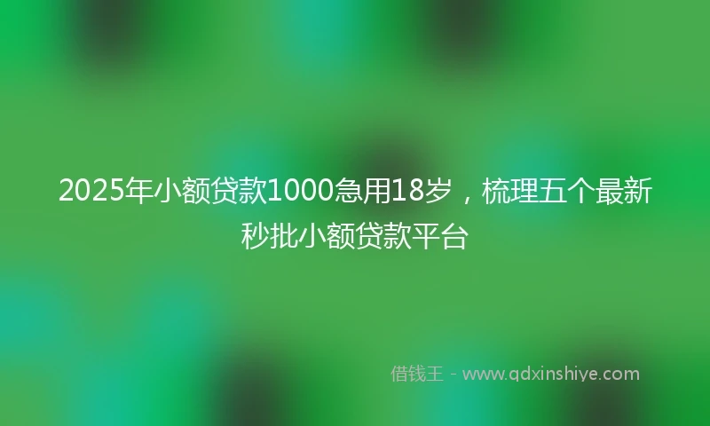 2025年小额贷款1000急用18岁，梳理五个最新秒批小额贷款平台