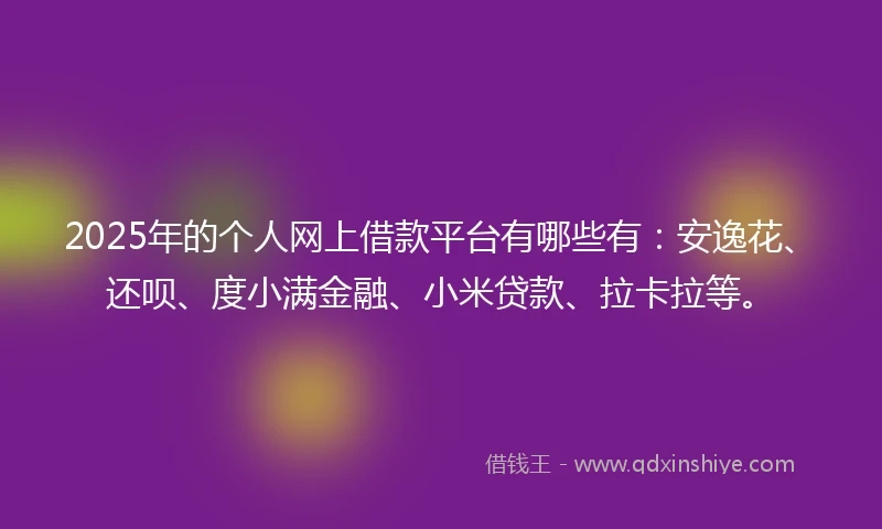 2025年的个人网上借款平台有哪些有：安逸花、还呗、度小满金融、小米贷款、拉卡拉等。