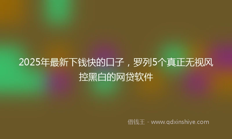 2025年最新下钱快的口子，罗列5个真正无视风控黑白的网贷软件