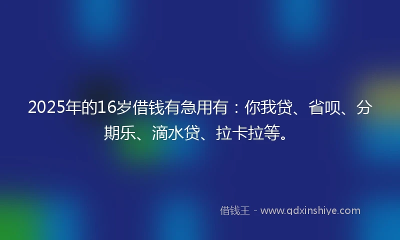 2025年的16岁借钱有急用有：你我贷、省呗、分期乐、滴水贷、拉卡拉等。