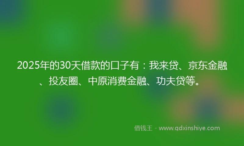 2025年的30天借款的口子有：我来贷、京东金融、投友圈、中原消费金融、功夫贷等。