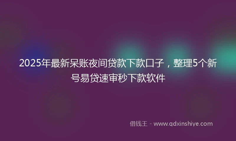 2025年最新呆账夜间贷款下款口子，整理5个新号易贷速审秒下款软件