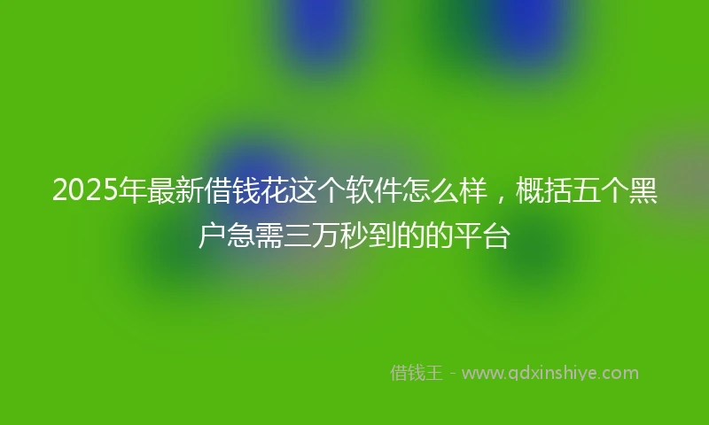 2025年最新借钱花这个软件怎么样，概括五个黑户急需三万秒到的的平台