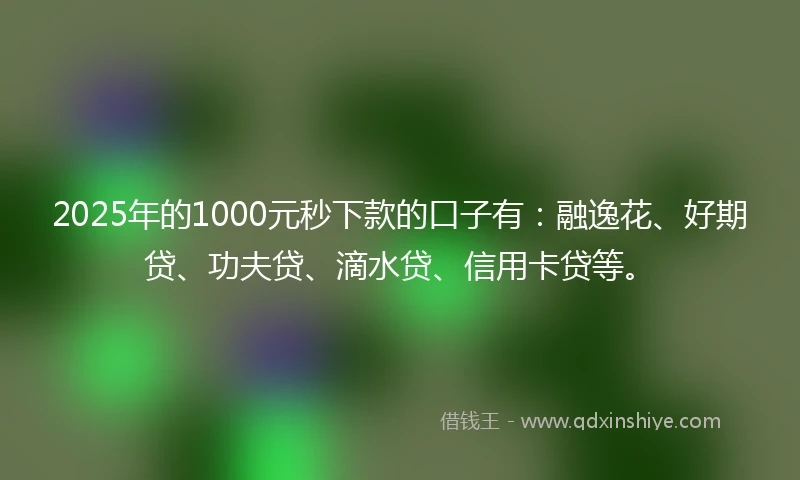 2025年的1000元秒下款的口子有：融逸花、好期贷、功夫贷、滴水贷、信用卡贷等。