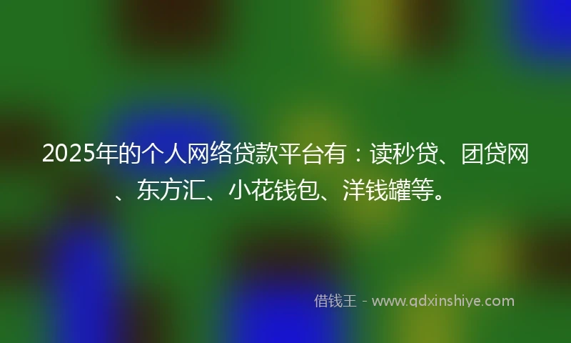 2025年的个人网络贷款平台有：读秒贷、团贷网、东方汇、小花钱包、洋钱罐等。