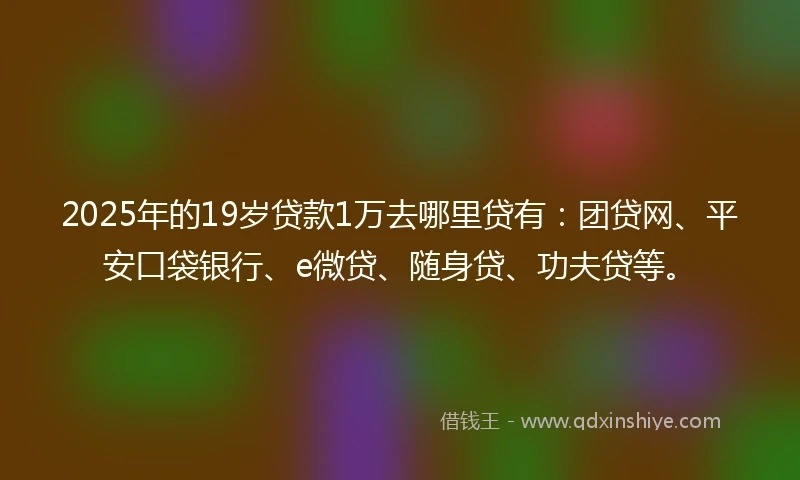 2025年的19岁贷款1万去哪里贷有：团贷网、平安口袋银行、e微贷、随身贷、功夫贷等。