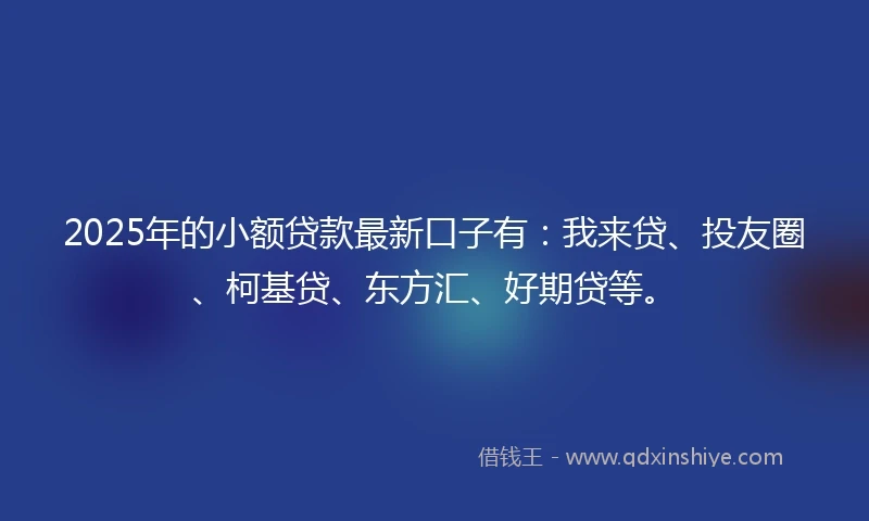 2025年的小额贷款最新口子有：我来贷、投友圈、柯基贷、东方汇、好期贷等。