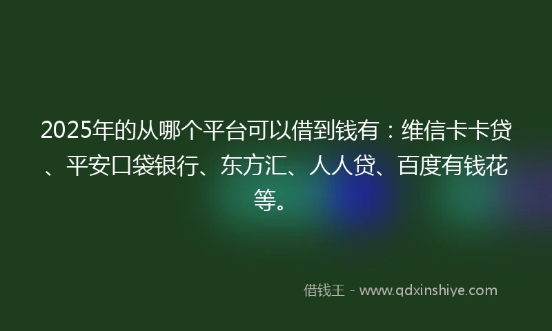 2025年的从哪个平台可以借到钱有：维信卡卡贷、平安口袋银行、东方汇、人人贷、百度有钱花等。