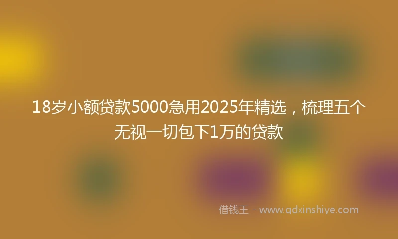 18岁小额贷款5000急用2025年精选，梳理五个无视一切包下1万的贷款