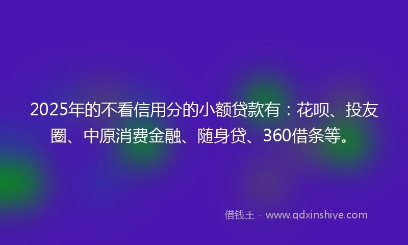 2025年的不看信用分的小额贷款有：花呗、投友圈、中原消费金融、随身贷、360借条等。