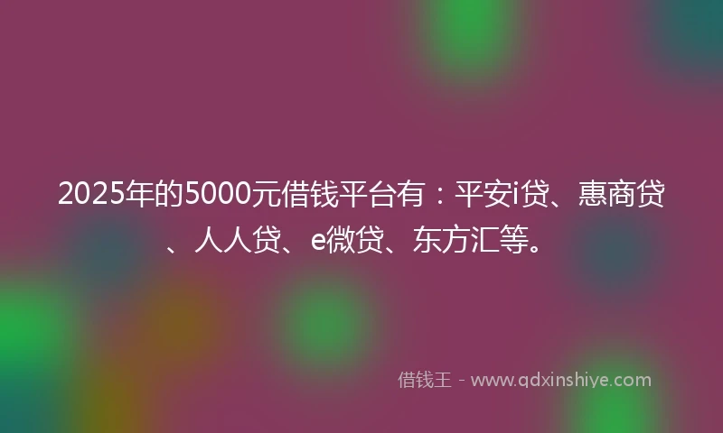 2025年的5000元借钱平台有：平安i贷、惠商贷、人人贷、e微贷、东方汇等。