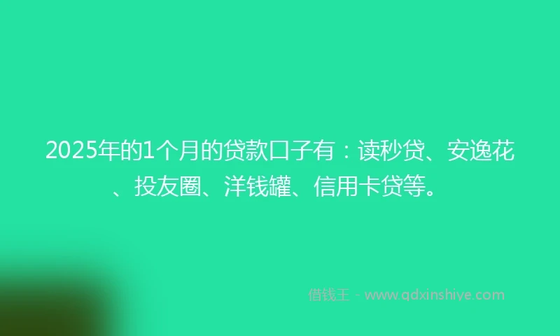 2025年的1个月的贷款口子有：读秒贷、安逸花、投友圈、洋钱罐、信用卡贷等。