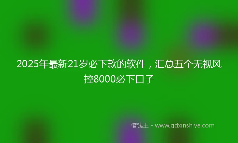 2025年最新21岁必下款的软件，汇总五个无视风控8000必下口子