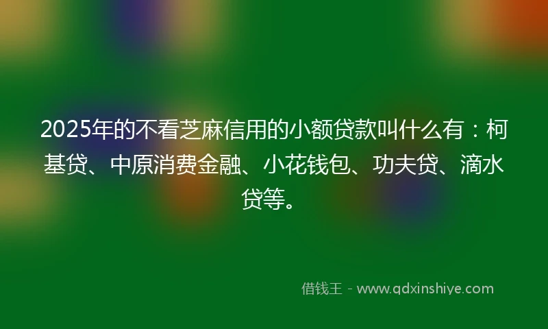 2025年的不看芝麻信用的小额贷款叫什么有：柯基贷、中原消费金融、小花钱包、功夫贷、滴水贷等。