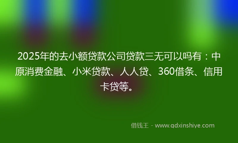 2025年的去小额贷款公司贷款三无可以吗有：中原消费金融、小米贷款、人人贷、360借条、信用卡贷等。