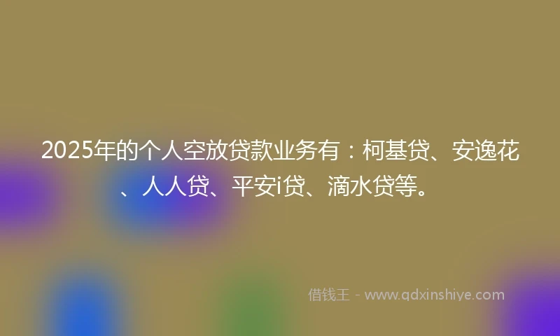 2025年的个人空放贷款业务有：柯基贷、安逸花、人人贷、平安i贷、滴水贷等。