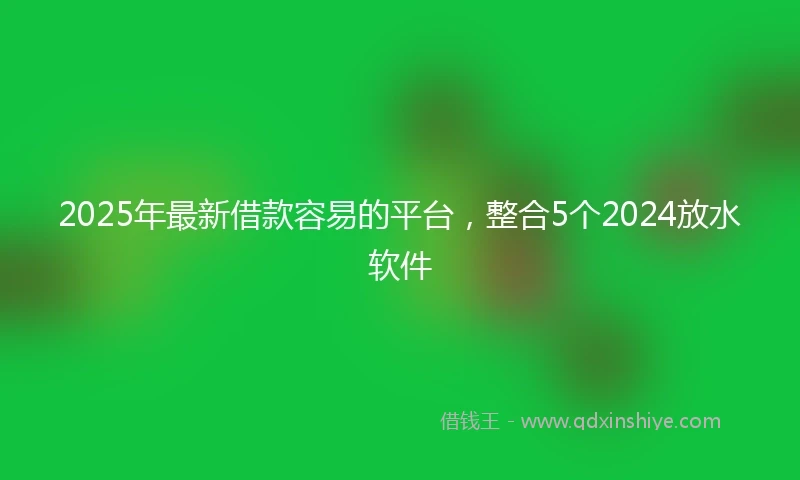 2025年最新借款容易的平台，整合5个2024放水软件