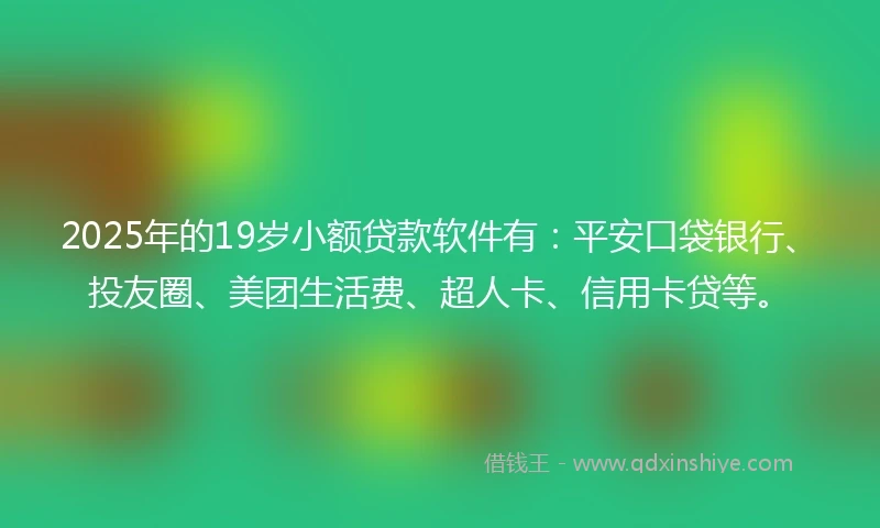 2025年的19岁小额贷款软件有：平安口袋银行、投友圈、美团生活费、超人卡、信用卡贷等。