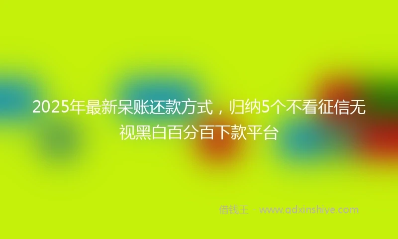 2025年最新呆账还款方式，归纳5个不看征信无视黑白百分百下款平台