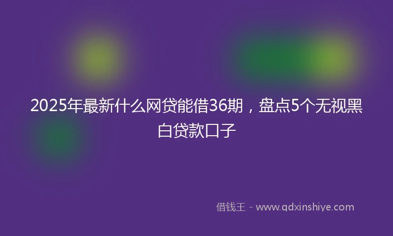 2025年最新什么网贷能借36期，盘点5个无视黑白贷款口子